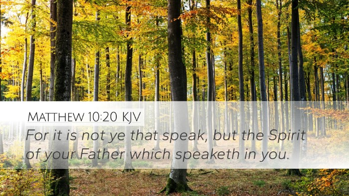 Matthew 10:20 Bible Commentary