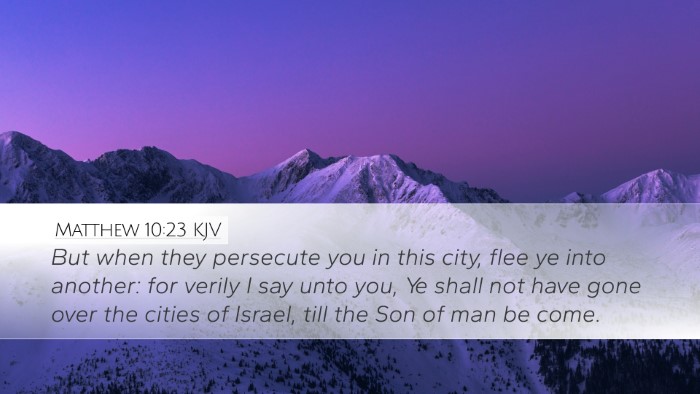 Matthew 10:23 Bible Commentary