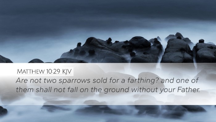 Matthew 10:29 Bible Commentary