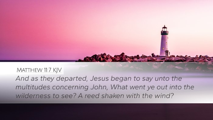 Matthew 11:7 Bible Commentary