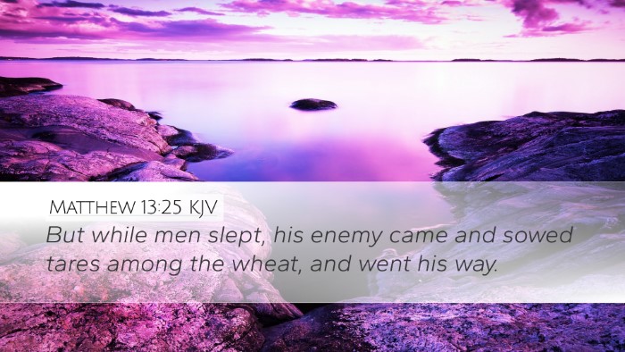 Matthew 13:25 Bible Commentary