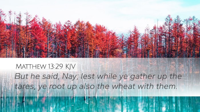 Matthew 13:29 Bible Commentary