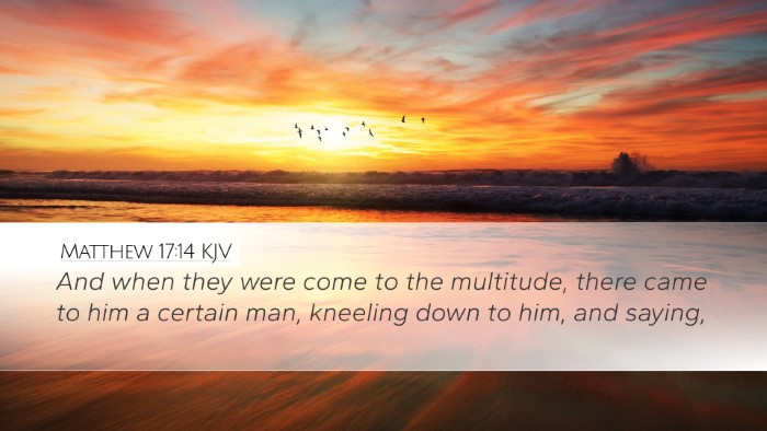 Matthew 17:14 Bible Commentary