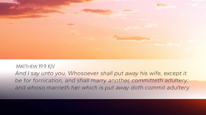 Matthew 19:9 Bible Commentary