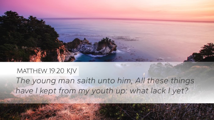 Matthew 19:20 Bible Commentary