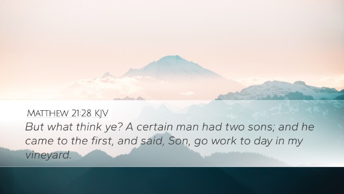 Matthew 21:28 Bible Commentary