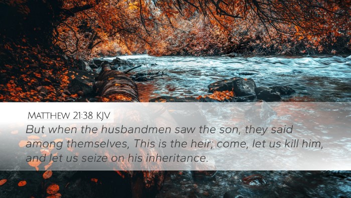 Matthew 21:38 Bible Commentary