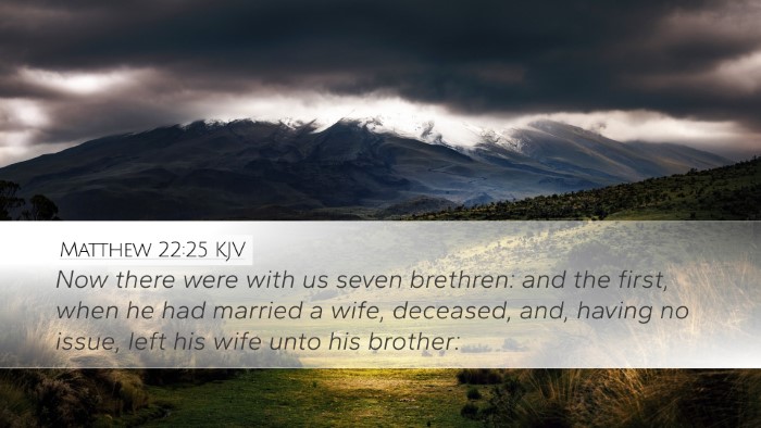 Matthew 22:25 Bible Commentary