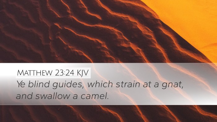 Matthew 23:24 Bible Commentary