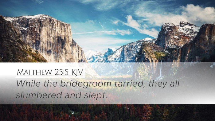 Matthew 25:5 Bible Commentary