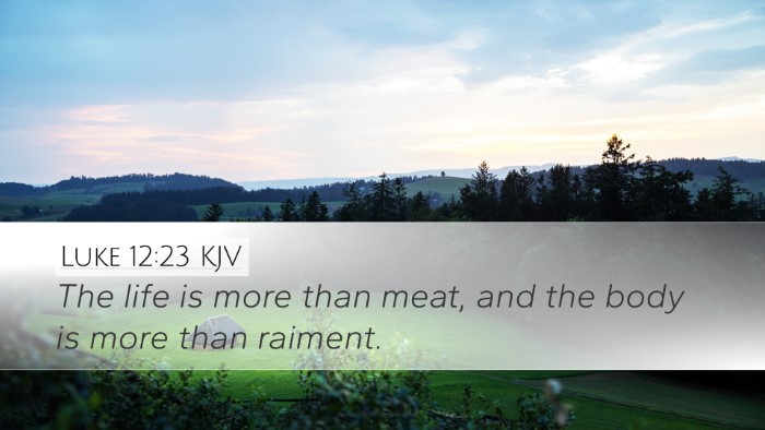 Luke 12:23 Bible Commentary