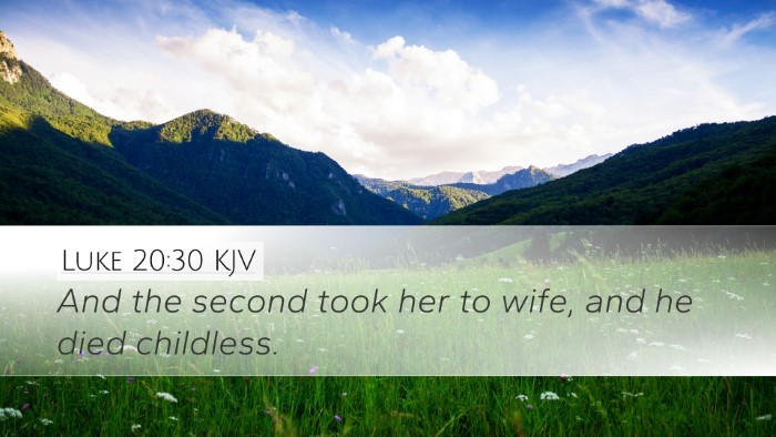 Luke 20:30 Bible Commentary