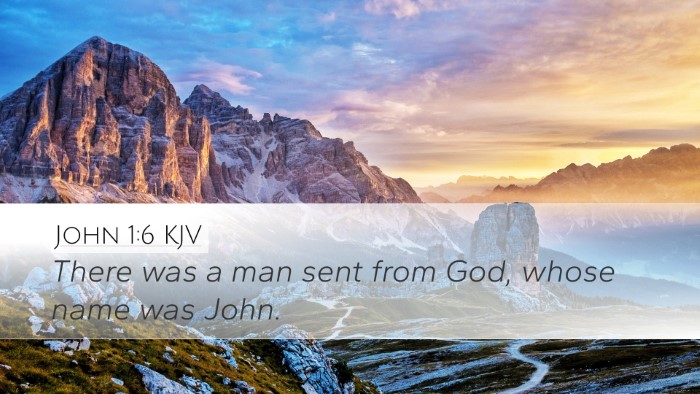 John 1:6 Bible Commentary