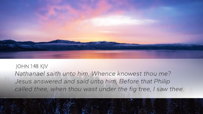 John 1:48 Bible Commentary