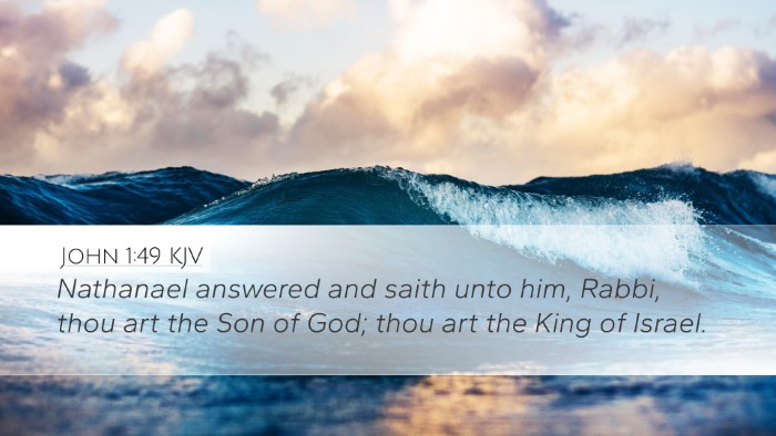 John 1:49 Bible Commentary