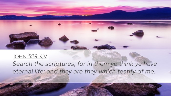 John 5:39 Bible Commentary