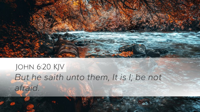 John 6:20 Bible Commentary