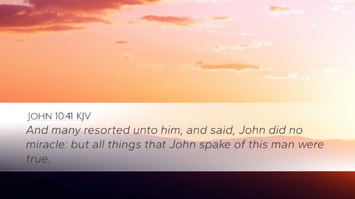 John 10:41 Bible Commentary