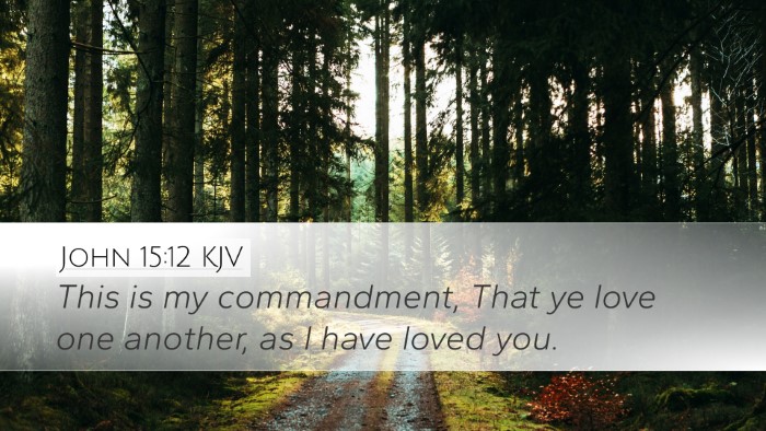 John 15:12 Bible Commentary