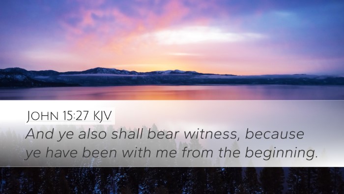 John 15:27 Bible Commentary