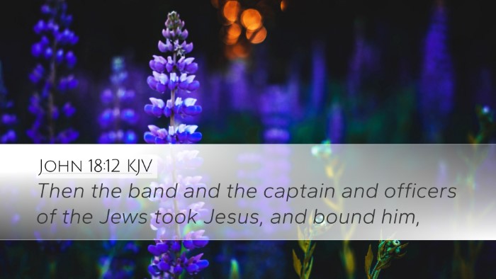 John 18:12 Bible Commentary