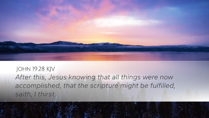 John 19:28 Bible Commentary