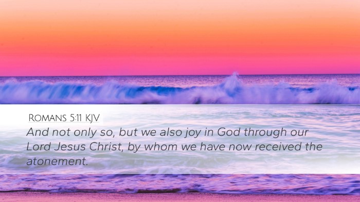 Romans 5:11 Bible Commentary