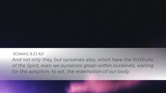 Romans 8:23 Bible Commentary