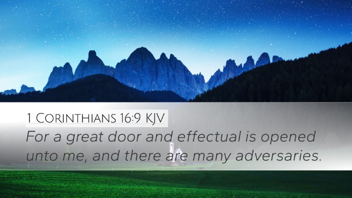 1 Corinthians 16:9 Bible Commentary