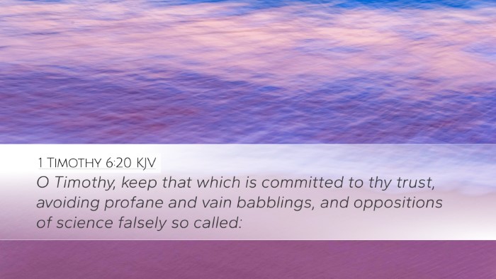 1 Timothy 6:20 Bible Commentary