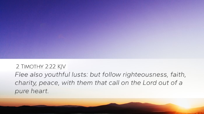 2 Timothy 2:22 Bible Commentary