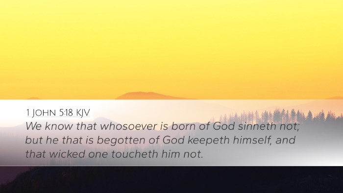 1 John 5:18 Bible Commentary