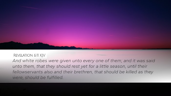 Revelation 6:11 Bible Commentary